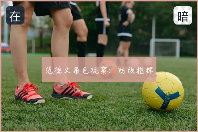 范德文角色观察：防线指挥